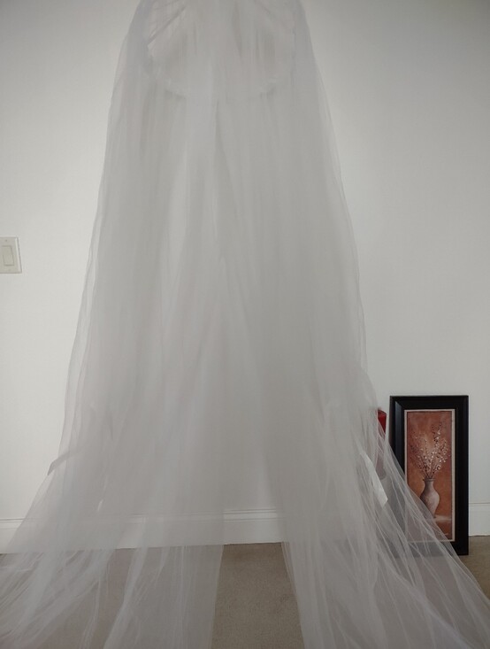 Pottery Barn Kids Other - Pottery Barn Kids tulle Canopy